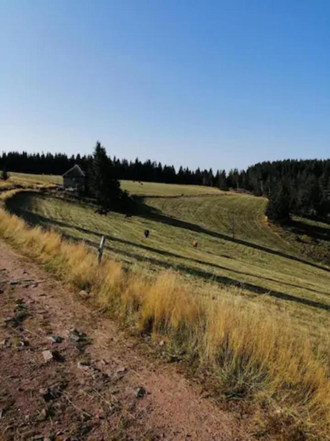 Les Locations De Stephanie Les Hautes Vosges Sondernach エクステリア 写真