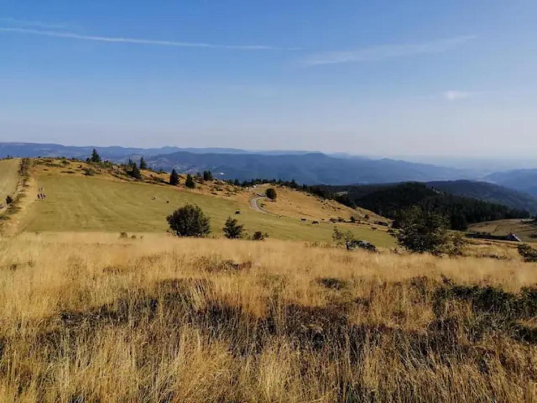 Les Locations De Stephanie Les Hautes Vosges Sondernach エクステリア 写真
