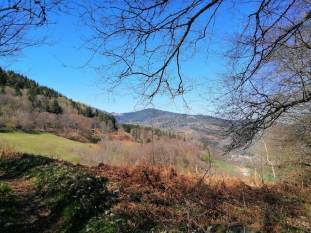 Les Locations De Stephanie Les Hautes Vosges Sondernach エクステリア 写真